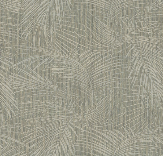 York Wallcoverings York Wallcoverings Della Palm Dark Taupe Wallpaper Bohemian Tropical Dark Taupe  Wallpaper - SI50612