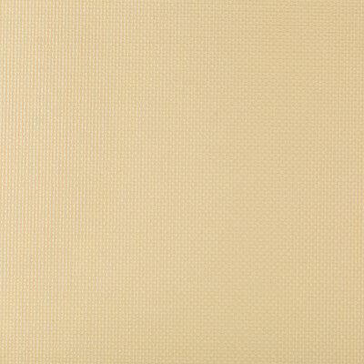 KRAVET CONTRACT VINYL/FAUX LEATHER TEXTURE BEIGE,BEIGE,   - SIDNEY.114.0