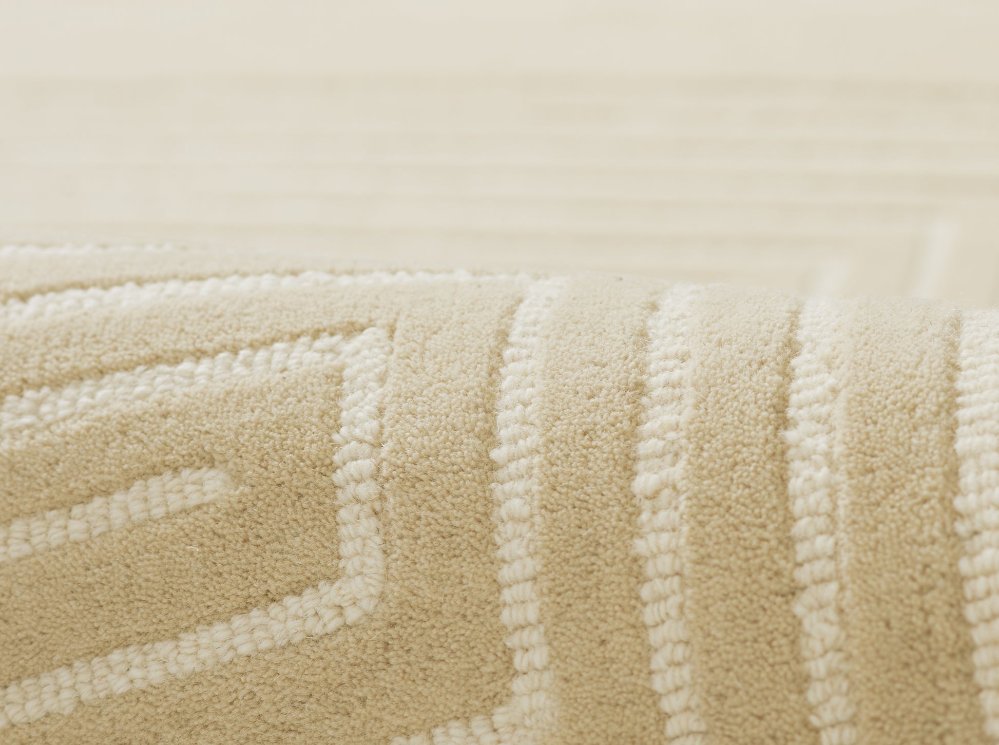 Beige geometric rug close-up with plush loop pile and cream raised border lines, 9' x 12'.