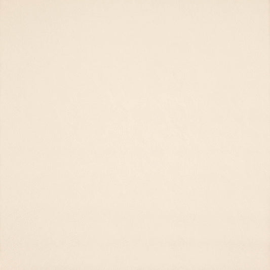 JF Fabrics SIMPLICITY 32 Fabric Traditional,Transitional,Contemporary,Plain Creme/Beige  Faux Leather,Texture - 5841132 J7361