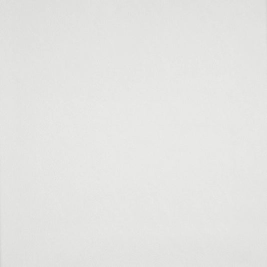 JF Fabrics SIMPLICITY 92 Fabric Traditional,Transitional,Contemporary,Plain Offwhite  Faux Leather,Texture - 5841192 J7361