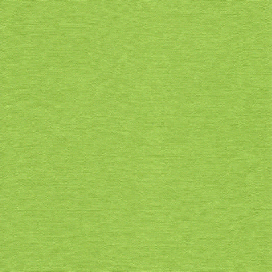 NICHOLASJOHN INC NJ-FOXY Kiwi Solid   Fabric - NJ25-3057