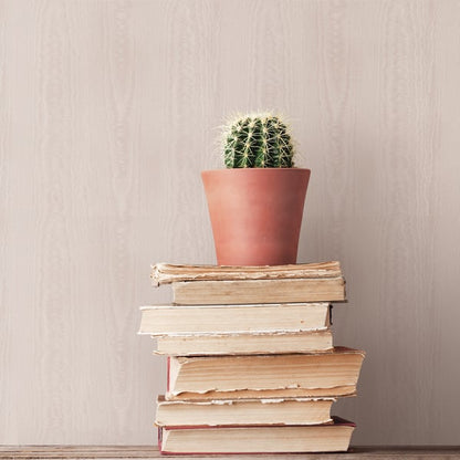 Small green cactus in a terracotta pot atop a stack of old, worn books, set against a pink plain-texture wallpaper backdrop.