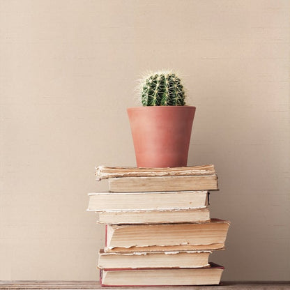 Galerie Wallcoverings Nordic Elements Plain Texture Galerie Wallcoverings  Cream   - SK34715