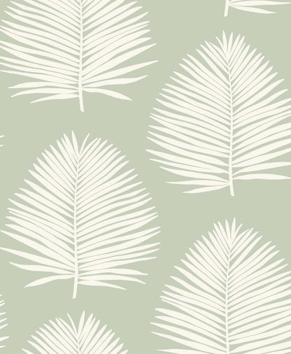 Seabrook Designs The Simple Life Island Palm Palm Leaf Coastal Green Matte  - SL80704