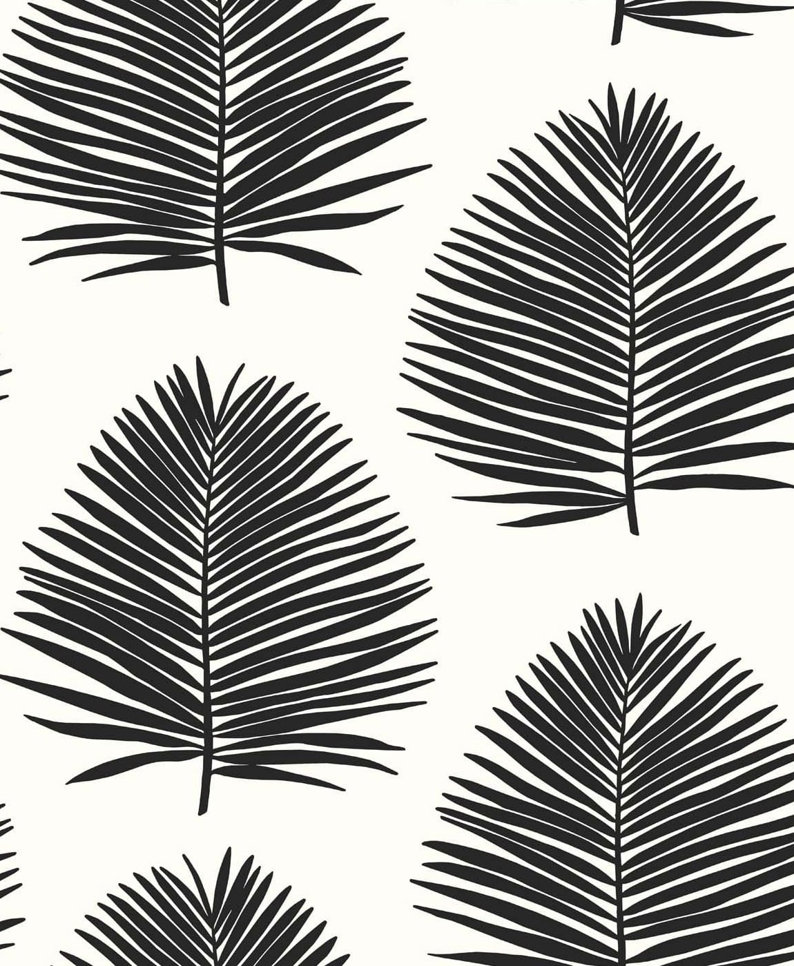 Seabrook Designs The Simple Life Island Palm Palm Leaf Coastal Black Matte Sidewall - SL80720