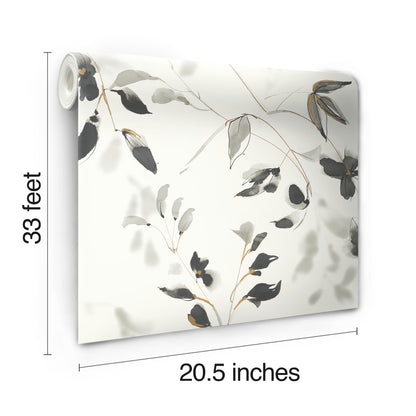 York Wallcoverings Best Sellers Linden Flower Black Wallpaper  Florals and Flowers Blacks   - SO2442