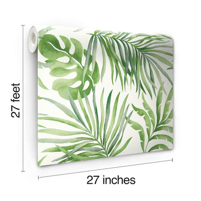York Wallcoverings Best Sellers Paradise Palm Green Wallpaper  Bohemian Greens   - SO2450