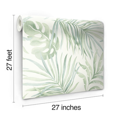 York Wallcoverings Blues II Paradise Palm Light Green Wallpaper  Botanical Greens   - SO2452
