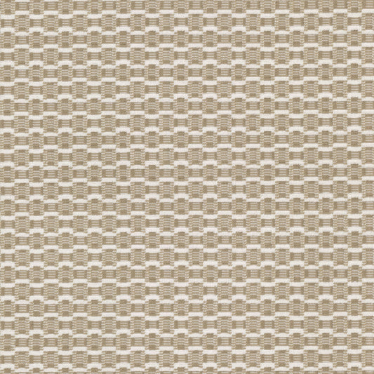 STOUT TEXTILES  UPHOLSTERY,VELVET TRADITIONAL, FLORAL BUFF   - SOLA-1