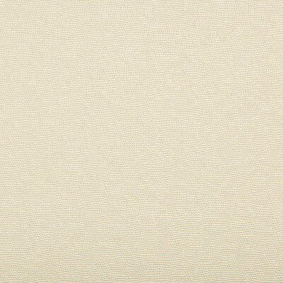 KRAVET CONTRACT INDOOR / OUTDOOR TEXTURE BEIGE,LIGHT GREY,   - SPARTAN.1611.0