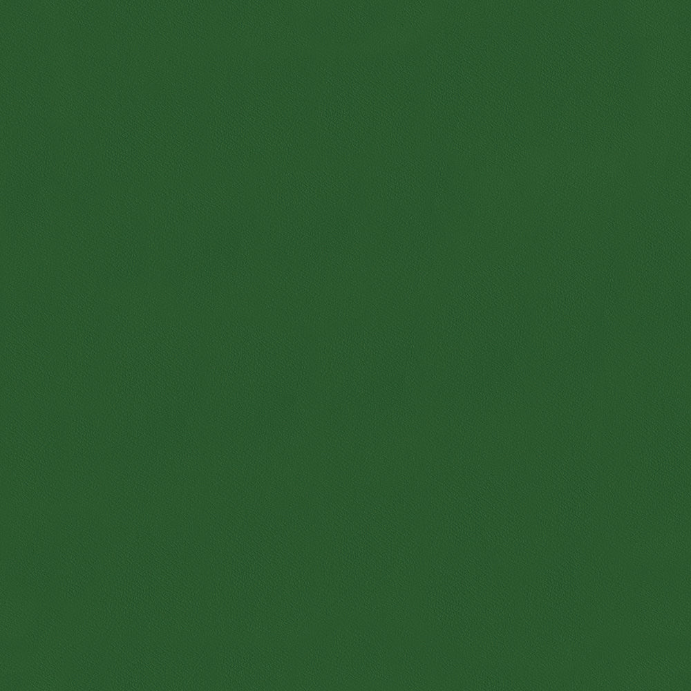 NICHOLASJOHN INC NJ-COCO Green Solid   Fabric - NJ25-3175