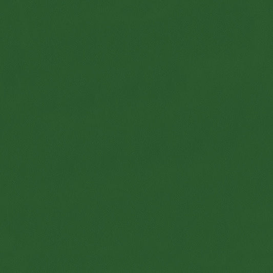 NICHOLASJOHN INC NJ-COCO Green Solid   Fabric - NJ25-3175