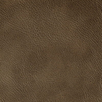 KRAVET CONTRACT VINYL/FAUX LEATHER TEXTURE BEIGE,CAMEL,   - SPUR.616.0