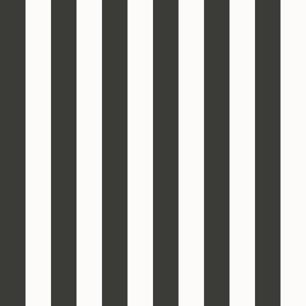 Galerie Wallcoverings Style Sisters Thin Stripe Black Galerie Wallcoverings  Black   - SS21231