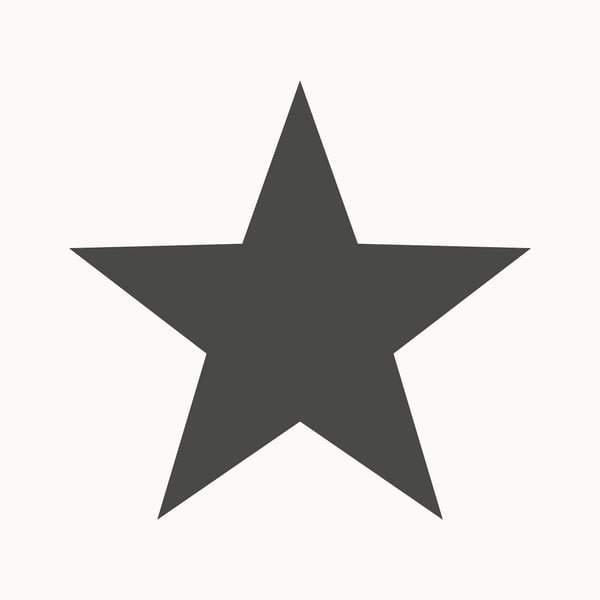 Galerie Wallcoverings Style Sisters Single Star Black Galerie Wallcoverings  Black   - SS21244