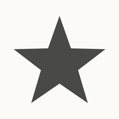 Galerie Wallcoverings Style Sisters Single Star Black Galerie Wallcoverings  Black   - SS21244