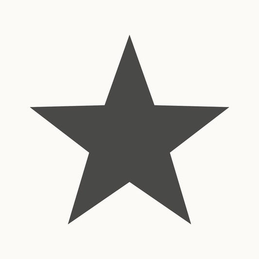 Galerie Wallcoverings Style Sisters Single Star Black Galerie Wallcoverings  Black   - SS21244