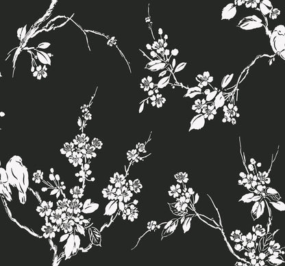 York Wallcoverings Inspired by Color Imperial Blossoms Branch Black and White Wallpaper  Animals Whites and Off-Whites   - SS2589