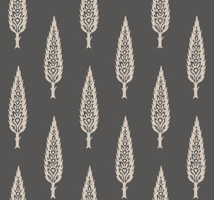 York Wallcoverings Black and White, III Juniper Tree Black and Taupe Wallpaper  Botanical Blacks   - SS2607