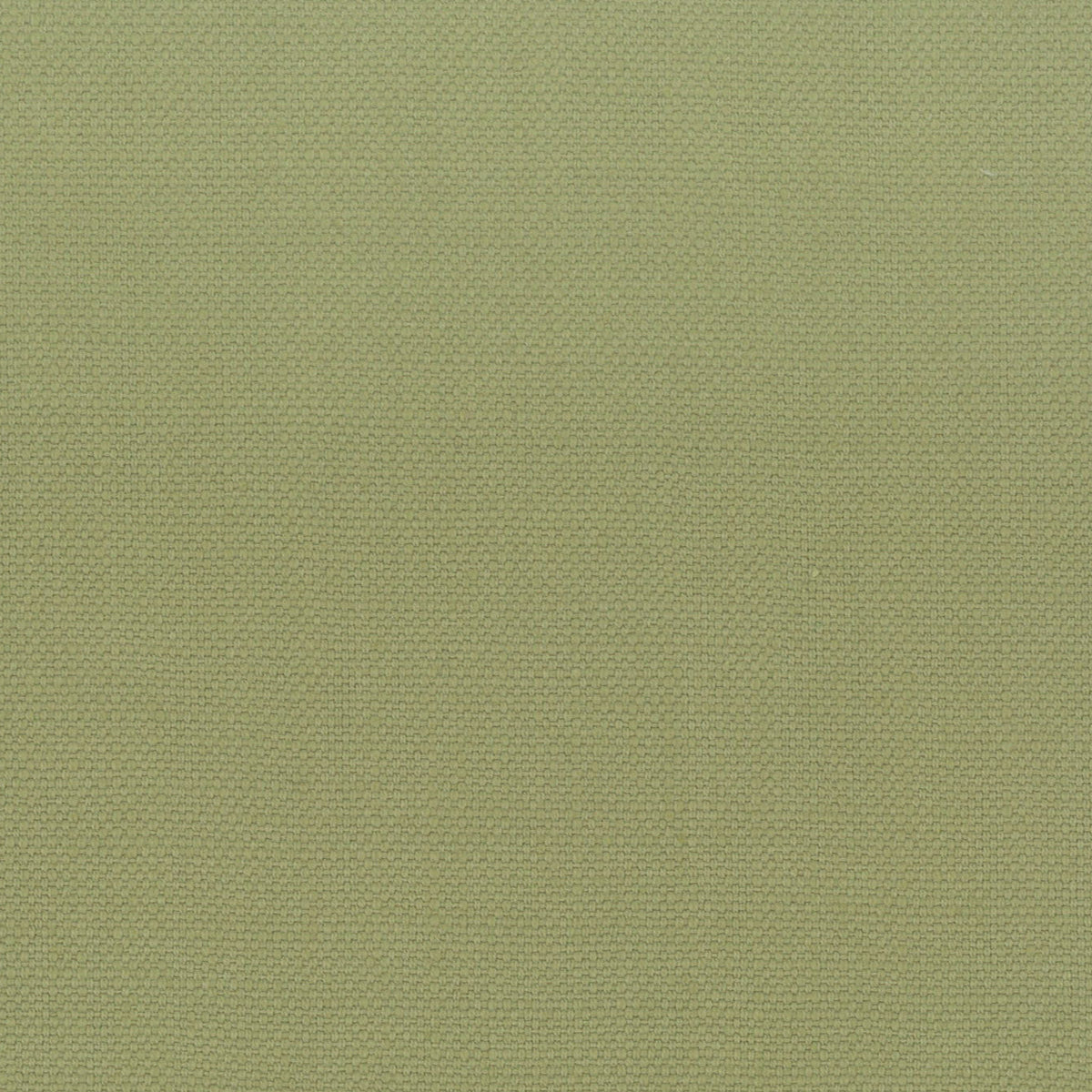 STOUT TEXTILES  MULTIPURPOSE,TEXTURE TRADITIONAL, SOLID PISTACHIO   - STAN-1