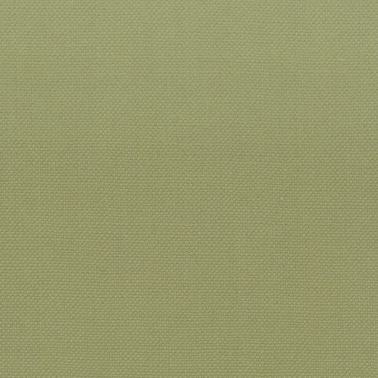STOUT TEXTILES  MULTIPURPOSE,TEXTURE TRADITIONAL, SOLID PISTACHIO   - STAN-1