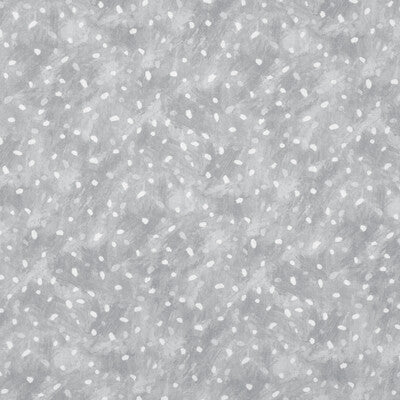 KRAVET BASICS PRINT SMALL SCALE SILVER,WHITE,GREY   - STARRY SKY.11.0