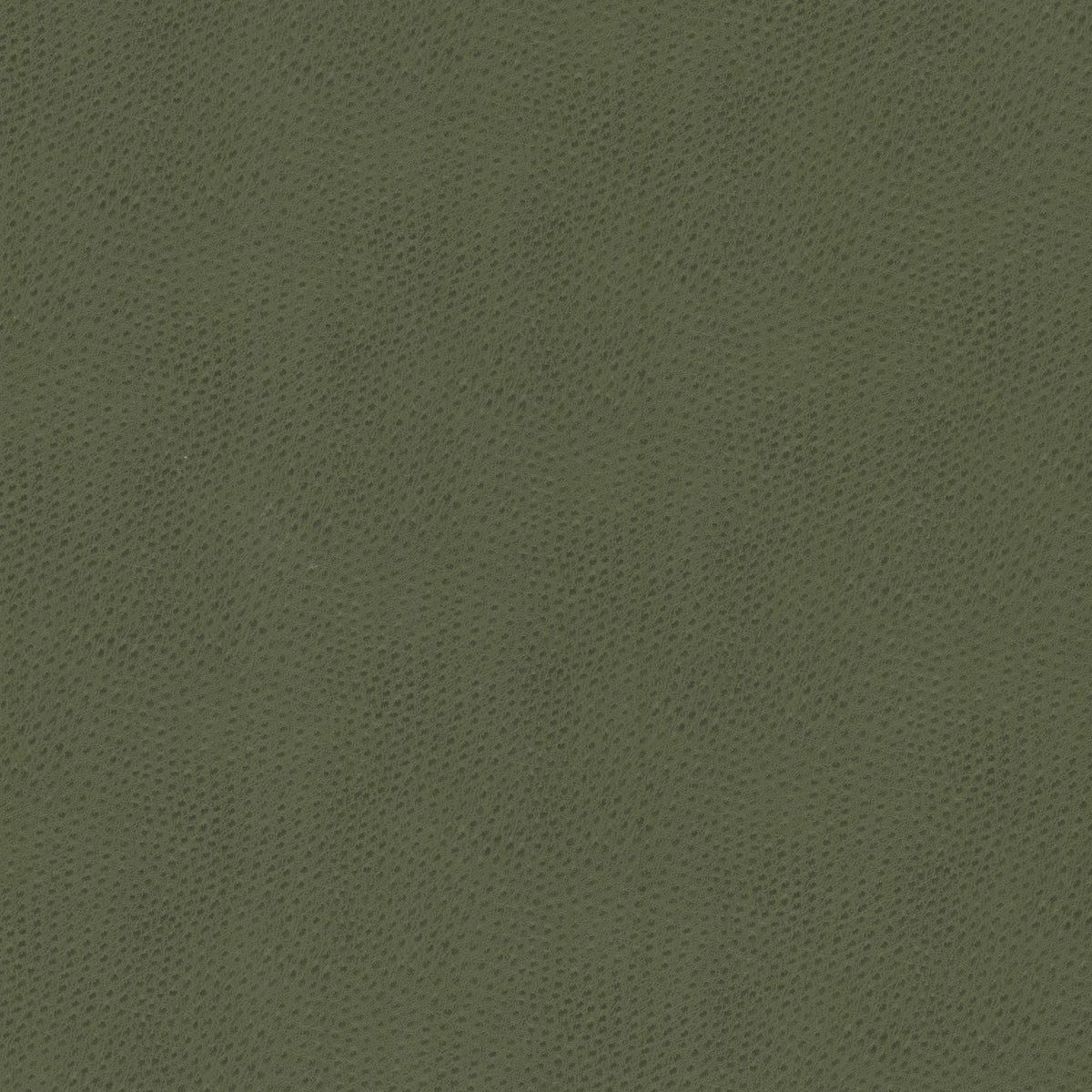 STOUT TEXTILES  FAUX LEATHER TRADITIONAL, SOLID DILL   - STEE-2
