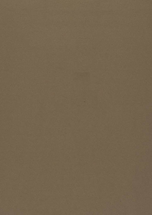 JF Fabrics STRUT 38 Fabric Traditional,Transitional,Contemporary,Plain Brown  Wide Width, Dimout - 5848738 J7291