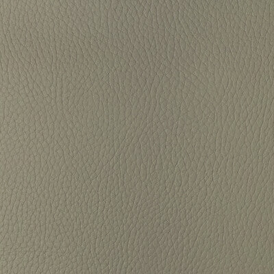 KRAVET DESIGN VINYL/FAUX LEATHER TEXTURE BEIGE,BEIGE,BEIGE   - SUGARMAPLE.116.0