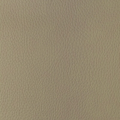 KRAVET DESIGN VINYL/FAUX LEATHER TEXTURE BEIGE,BEIGE,BEIGE   - SUGARMAPLE.16.0