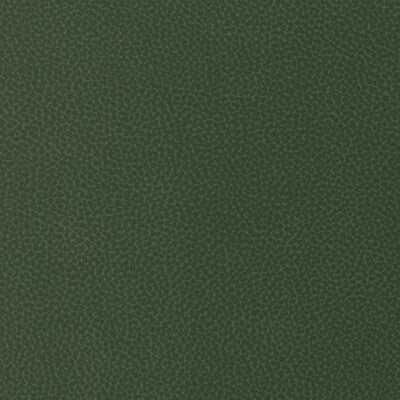 KRAVET DESIGN VINYL/FAUX LEATHER SOLID GREEN,OLIVE GREEN,GREEN   - SWEETGUM.30.0