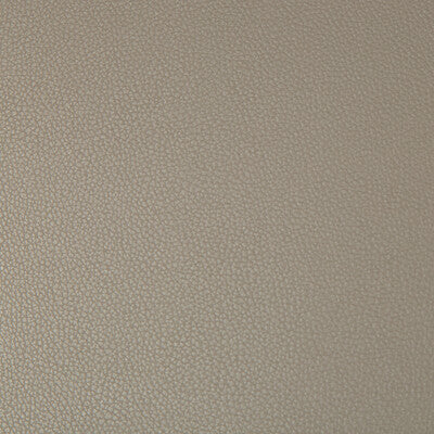 KRAVET CONTRACT VINYL/FAUX LEATHER TEXTURE TAUPE,TAUPE,   - SYRUS.106.0