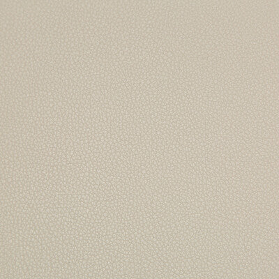 KRAVET CONTRACT VINYL/FAUX LEATHER TEXTURE LIGHT GREY,LIGHT GREY,   - SYRUS.1116.0