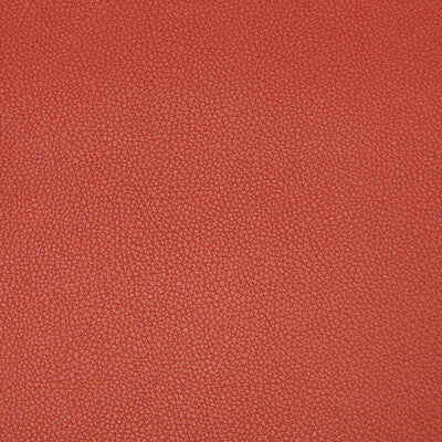 KRAVET CONTRACT VINYL/FAUX LEATHER TEXTURE RUST,RUST,   - SYRUS.1219.0