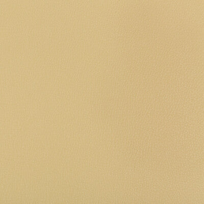 KRAVET CONTRACT VINYL/FAUX LEATHER TEXTURE BEIGE,BEIGE,   - SYRUS.1416.0