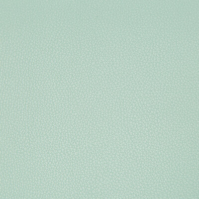 KRAVET CONTRACT VINYL/FAUX LEATHER TEXTURE SPA,SPA,   - SYRUS.1535.0