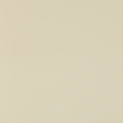 KRAVET CONTRACT VINYL/FAUX LEATHER TEXTURE BEIGE,BEIGE,   - SYRUS.1611.0