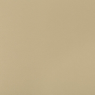 KRAVET CONTRACT VINYL/FAUX LEATHER TEXTURE BEIGE,BEIGE,   - SYRUS.1616.0