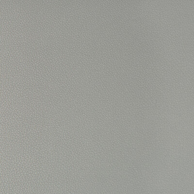 KRAVET CONTRACT VINYL/FAUX LEATHER TEXTURE GREY,GREY,   - SYRUS.21.0