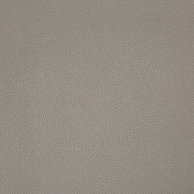 KRAVET CONTRACT VINYL/FAUX LEATHER TEXTURE TAUPE,TAUPE,   - SYRUS.2106.0