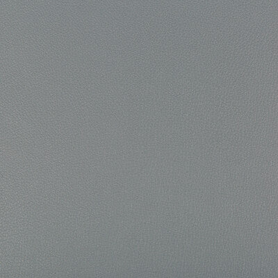 KRAVET CONTRACT VINYL/FAUX LEATHER TEXTURE GREY,GREY,   - SYRUS.2111.0