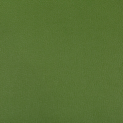 KRAVET CONTRACT VINYL/FAUX LEATHER TEXTURE GREEN,GREEN,   - SYRUS.303.0