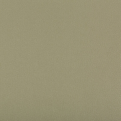 KRAVET CONTRACT VINYL/FAUX LEATHER TEXTURE OLIVE GREEN,OLIVE GREEN,   - SYRUS.311.0