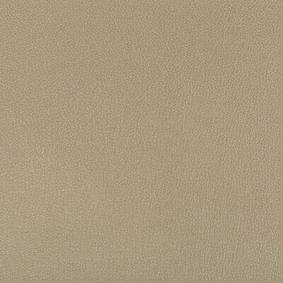 KRAVET CONTRACT VINYL/FAUX LEATHER TEXTURE KHAKI,KHAKI,   - SYRUS.316.0