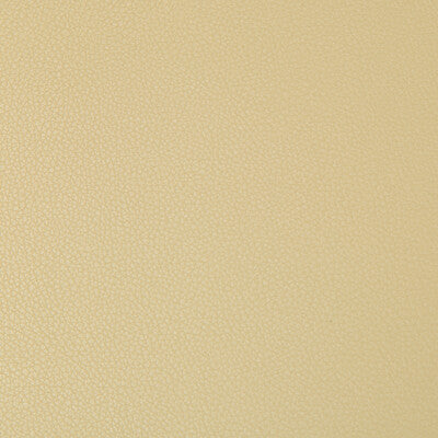 KRAVET CONTRACT VINYL/FAUX LEATHER TEXTURE BEIGE,BEIGE,   - SYRUS.416.0