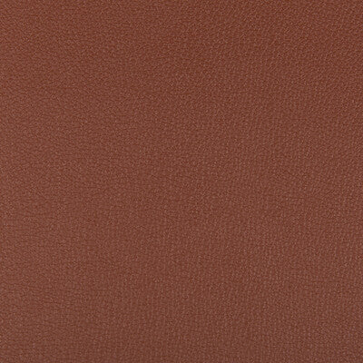 KRAVET CONTRACT VINYL/FAUX LEATHER TEXTURE BROWN,BROWN,   - SYRUS.624.0