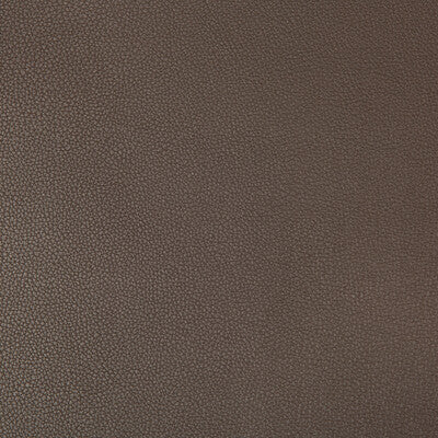 KRAVET CONTRACT VINYL/FAUX LEATHER TEXTURE BROWN,BROWN,   - SYRUS.66.0