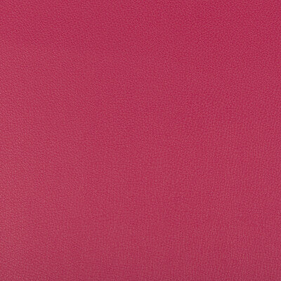 KRAVET CONTRACT VINYL/FAUX LEATHER TEXTURE FUSCHIA,FUSCHIA,   - SYRUS.7.0