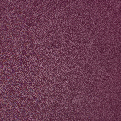 KRAVET CONTRACT VINYL/FAUX LEATHER TEXTURE PURPLE,PURPLE,   - SYRUS.910.0